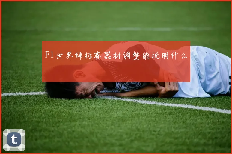 F1世界锦标赛器材调整能说明什么