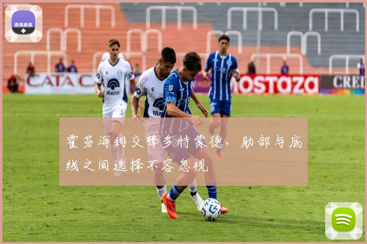 霍芬海姆交锋多特蒙德，肋部与底线之间选择不容忽视